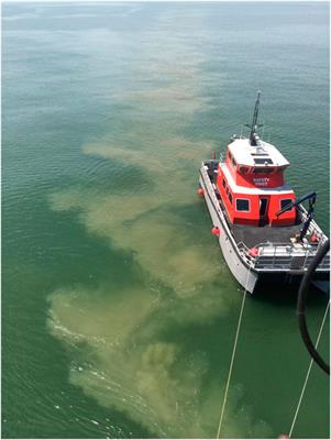 Monopile-induced turbulence and sediment redistribution form visible wakes in offshore wind farms